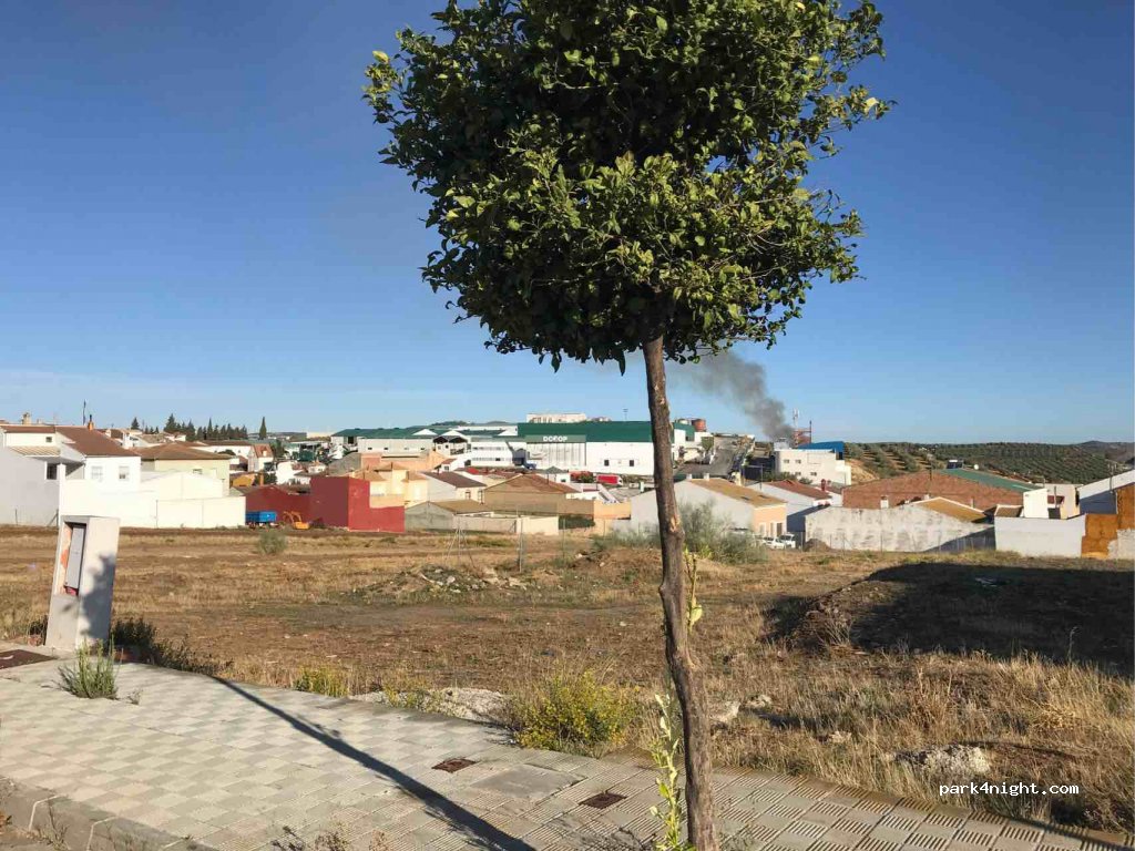 (41650) El Saucejo - 1 Calle Hojiblanca — foto 2