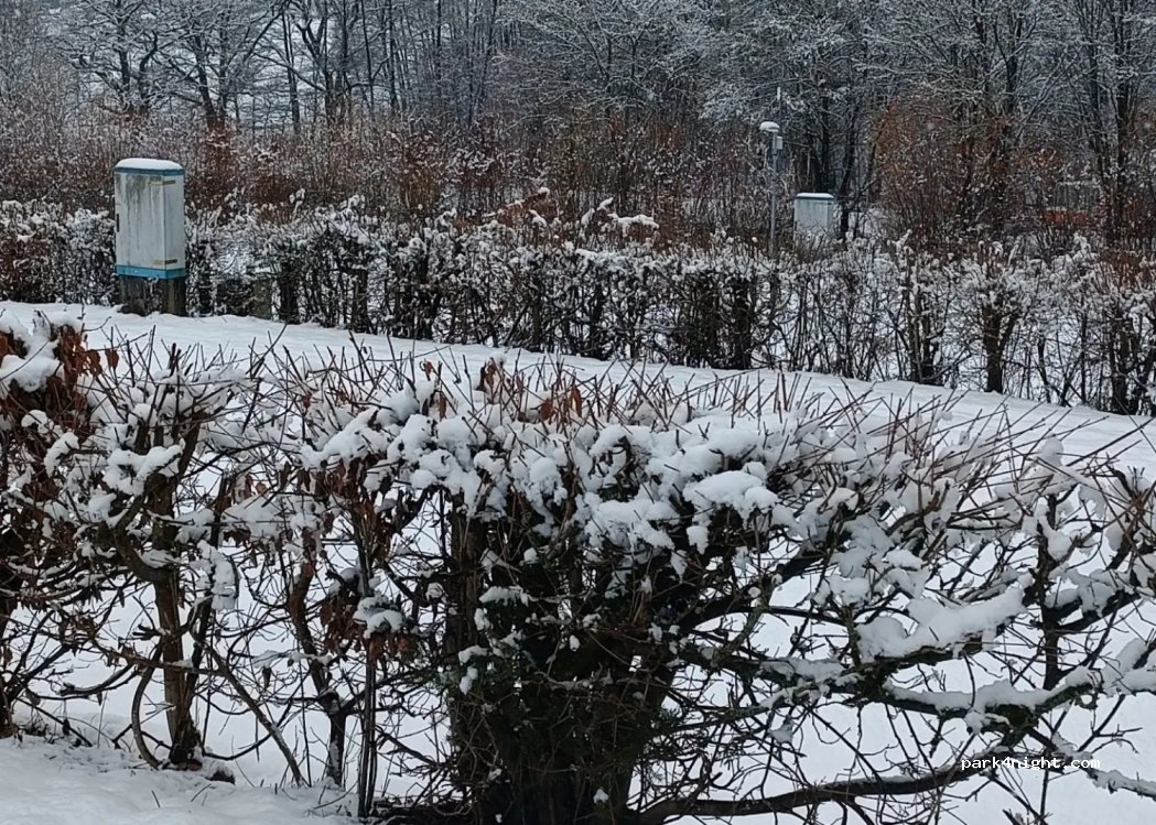 Campingplatz Wannetal — foto 2