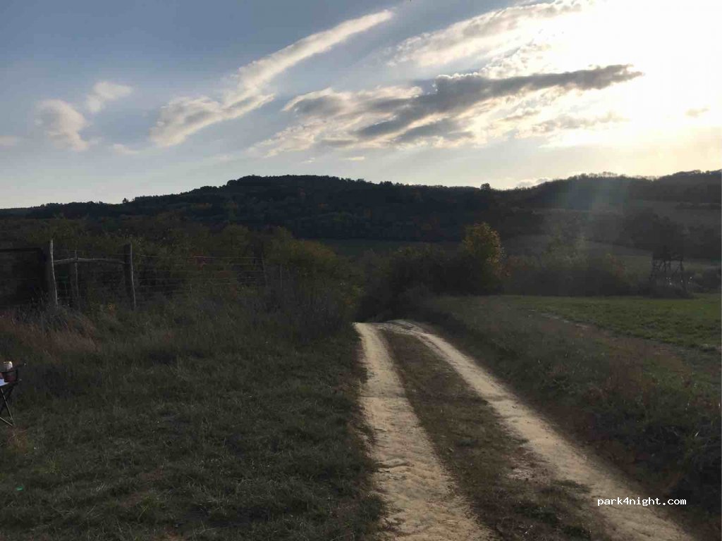 (7333) Kárász - 65181 — foto 2