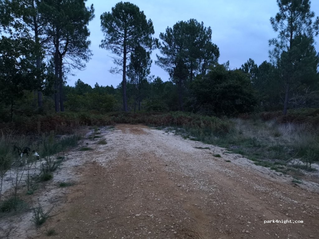 (40600) Biscarrosse - 95 Chemin d'en Chon — foto 2