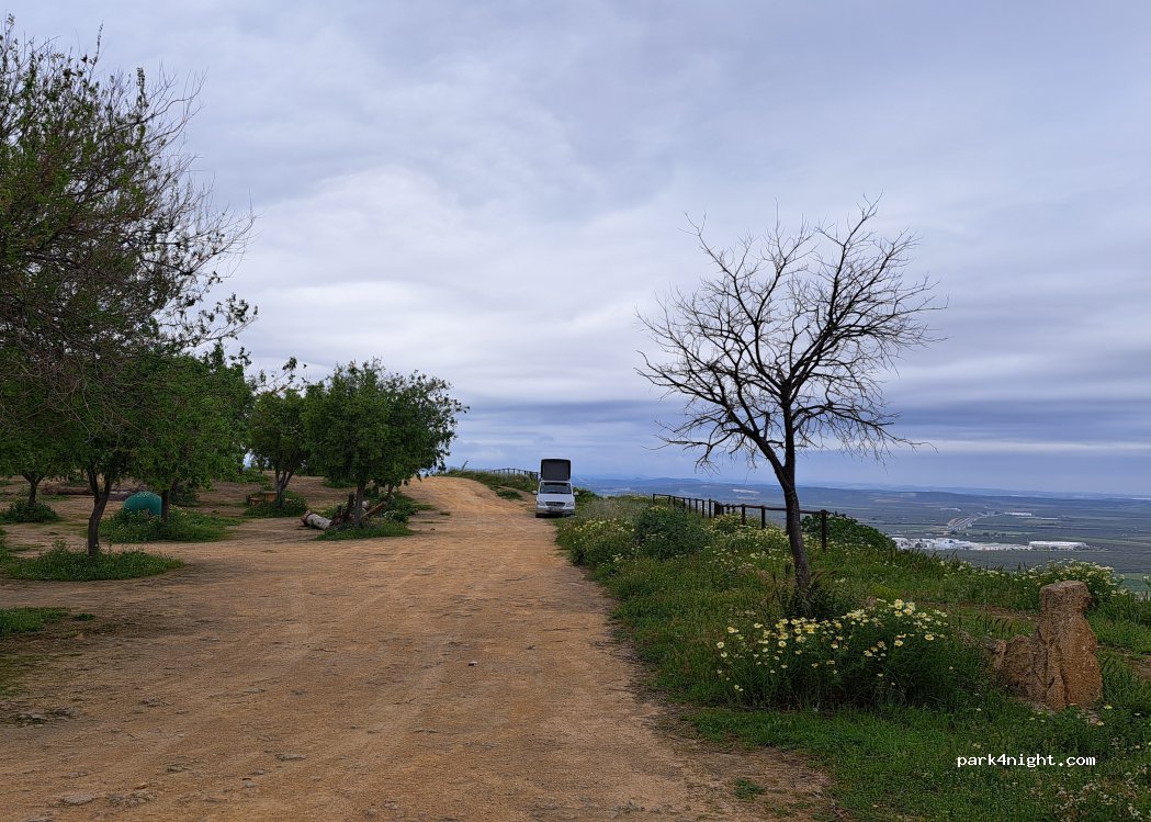 (41640) Osuna - — foto 5