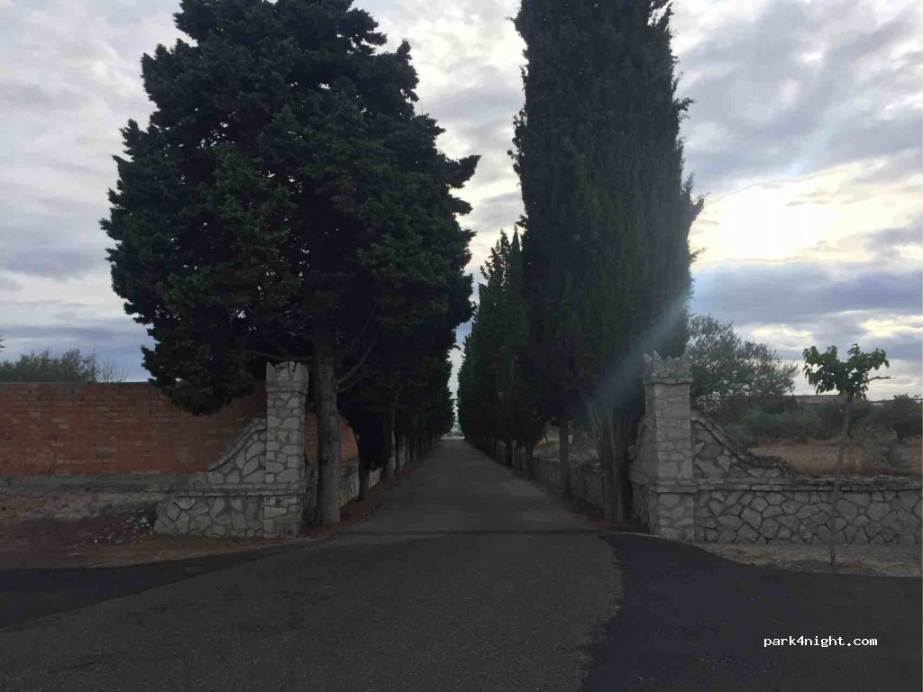 (25200) Cervera - Cami del Cementiri — foto 2
