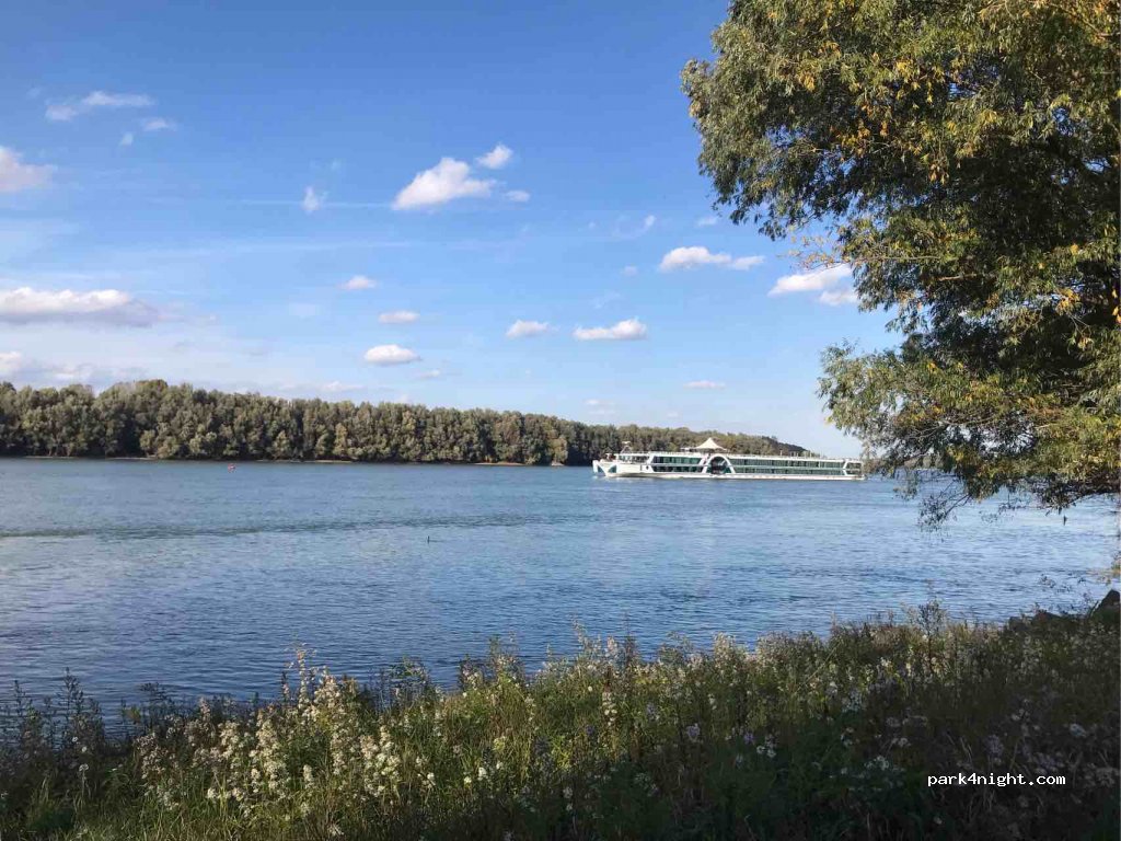 (6513) Dunafalva - Unnamed Road — foto 2