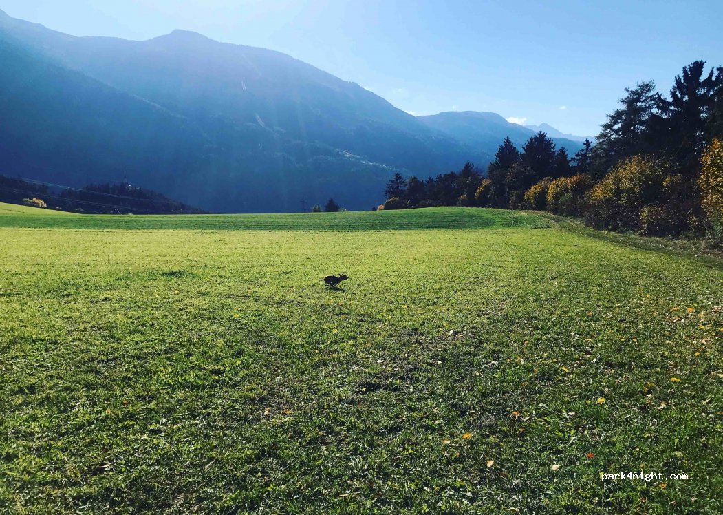 (6414) Mötz - Locherboden — foto 2