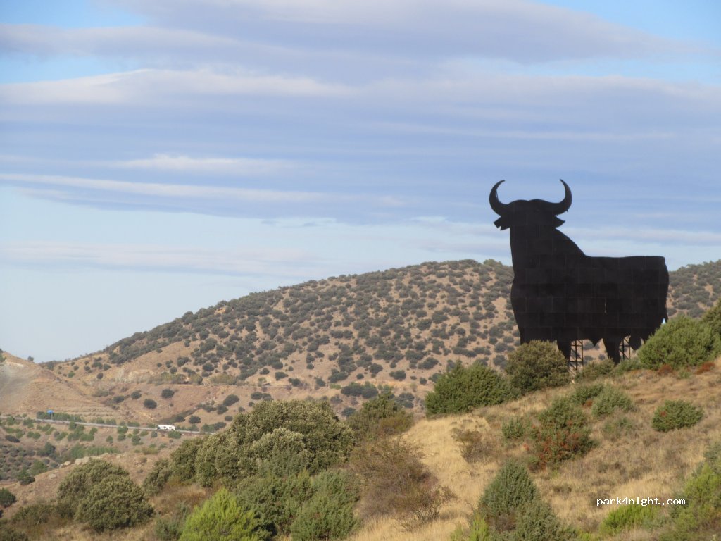 (50300) Calatayud - Camino Forestal de la Sierra Vicor — foto 2