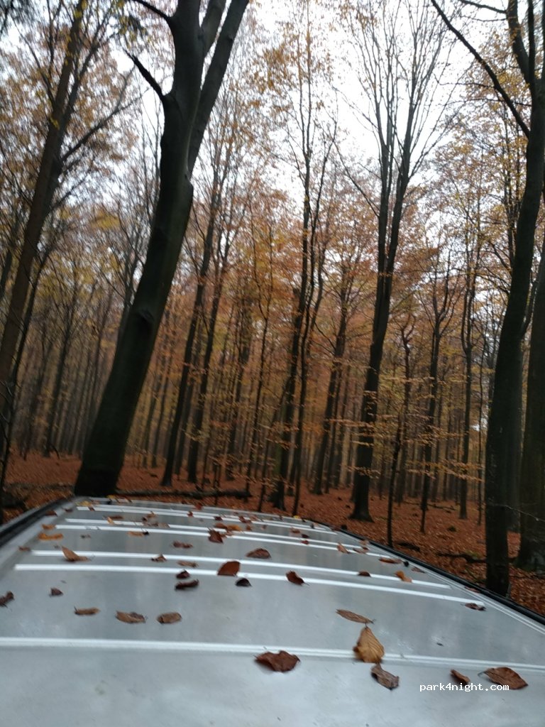 (28857) Syke - 71 Bassumer Landstraße — foto 3