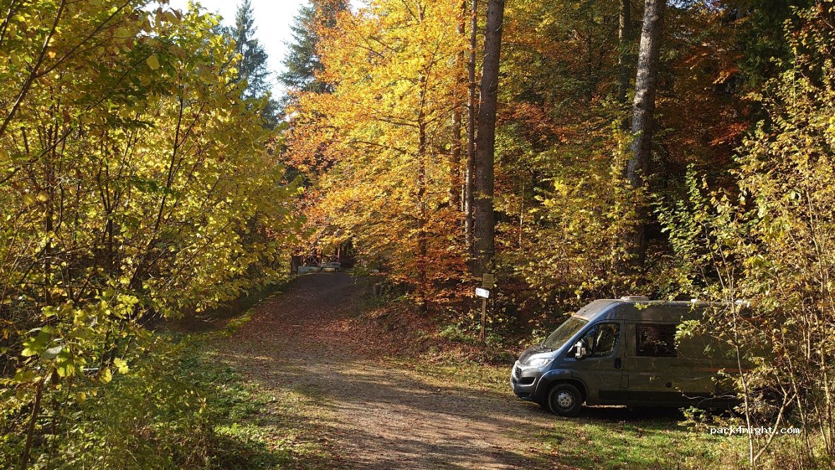 (535100) Carpitus - 24 Strada Jókai Mór — foto