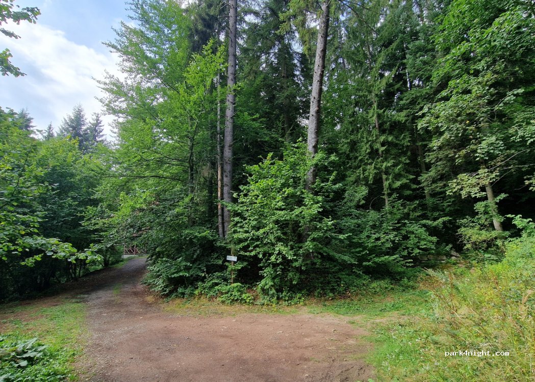 (535100) Carpitus - 24 Strada Jókai Mór — foto 2