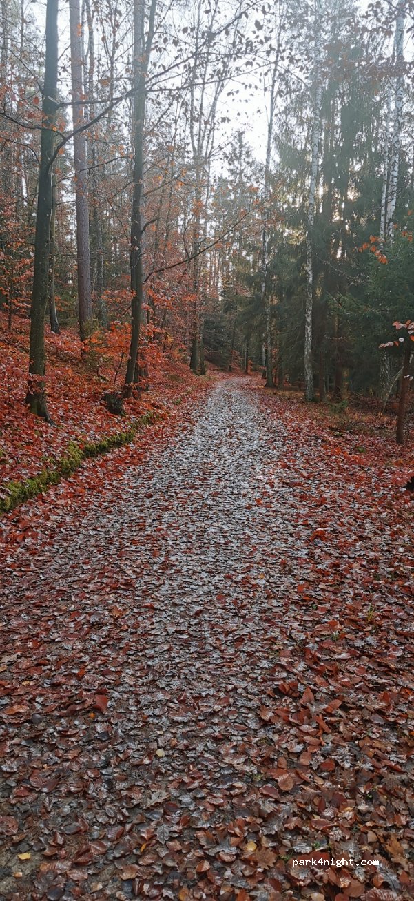 (64-915) Jastrowie - Graniczna — foto
