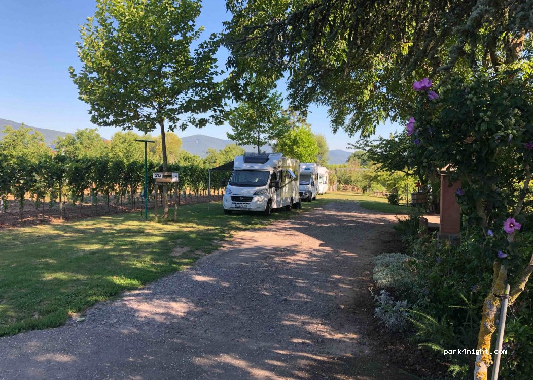 WeinGut Lorentz — foto
