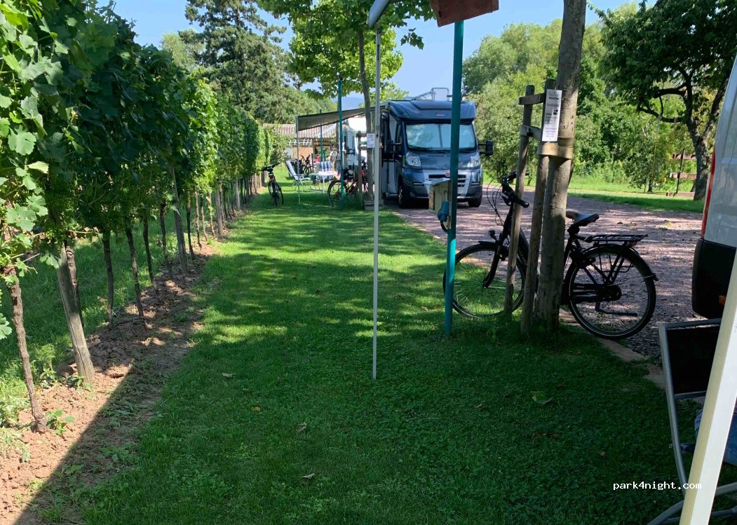 WeinGut Lorentz — foto 2