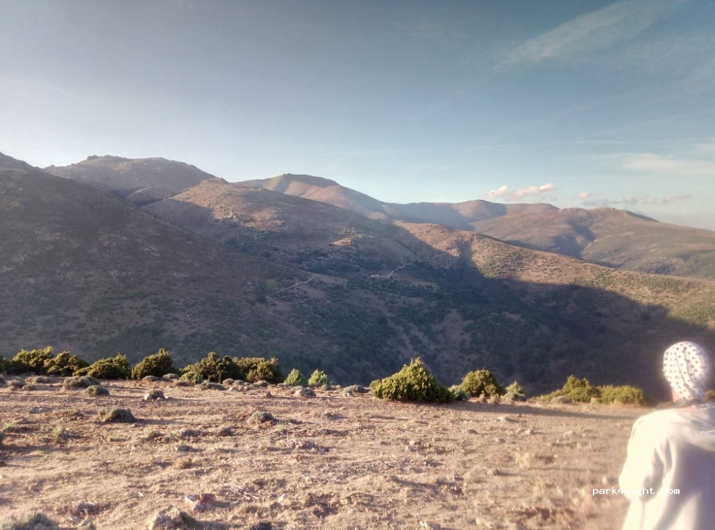 (08040) Arzana - Strada Foresta Girgini — foto 4