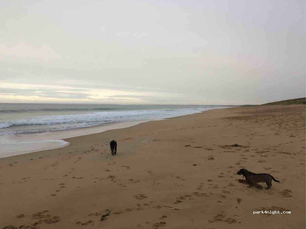 (85360) La Tranche-sur-Mer - 19 Rue des Ramiers — foto 2