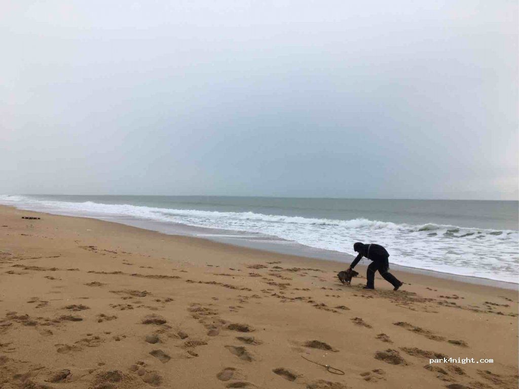 (85360) La Tranche-sur-Mer - 19 Rue des Ramiers — foto 3