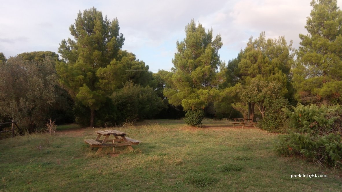 (57016) Rosignano Marittimo - Strada Provinciale 11 — foto