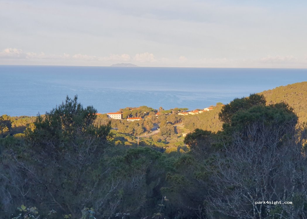 (57016) Rosignano Marittimo - Strada Provinciale 11 — foto 4