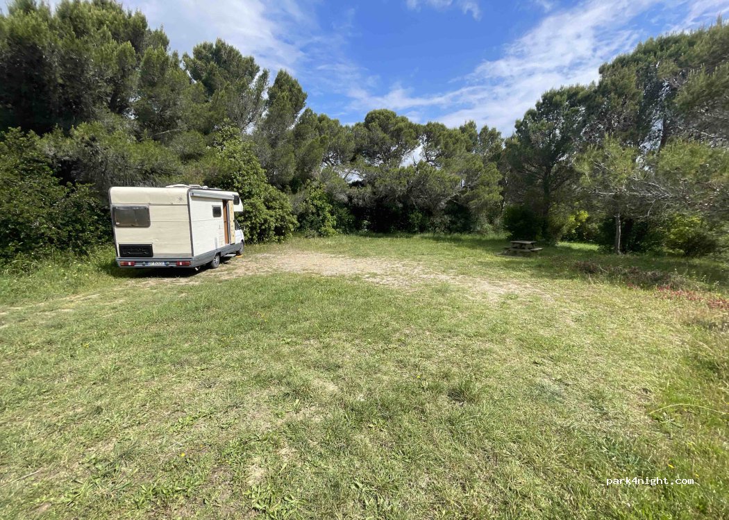 (57016) Rosignano Marittimo - Strada Provinciale 11 — foto 5