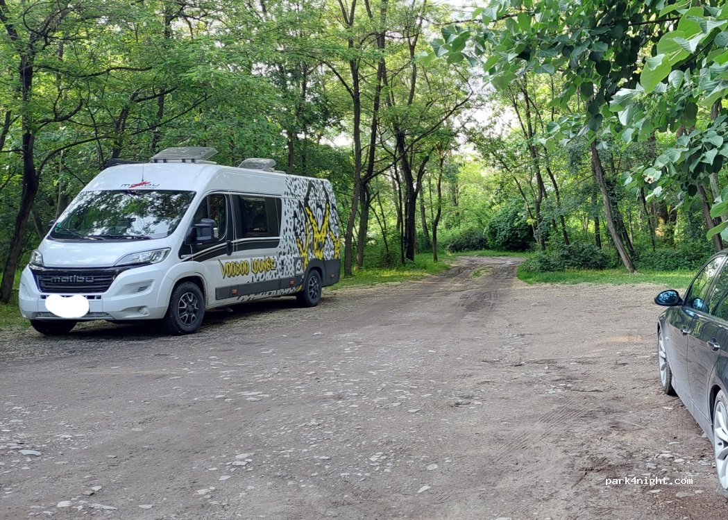 (4110) Parvenets - 862 — foto 4