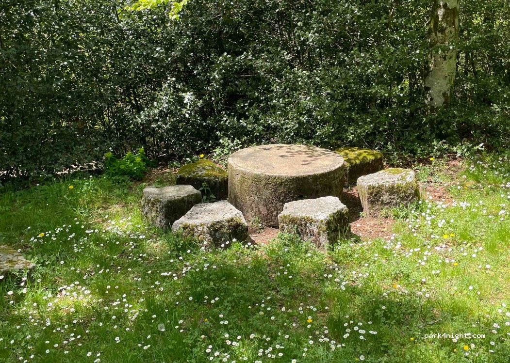 (81200) Mazamet - Route Forestière de Roquetaillade — foto 3