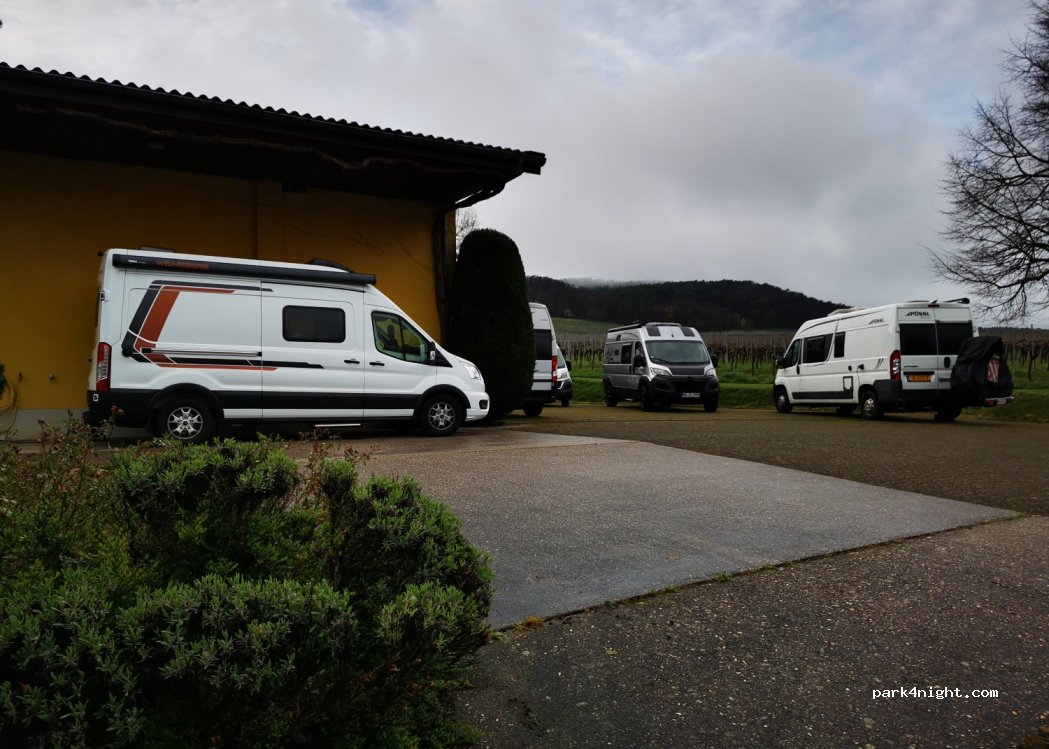 Weingut Cuntz Sonnenhof — foto 4