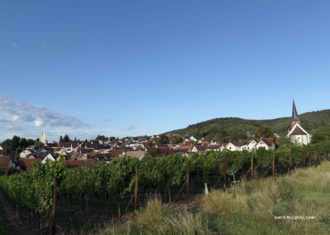 Weingut Cuntz Sonnenhof — foto 5