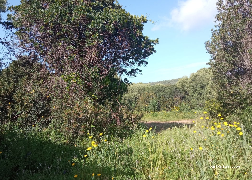 (20115) Piana - Unnamed Road — foto 3