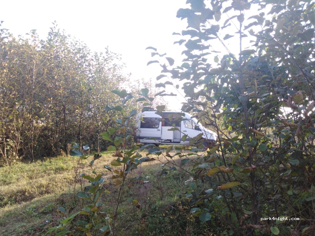 () Kobuleti - Tsereteli Street — foto 2