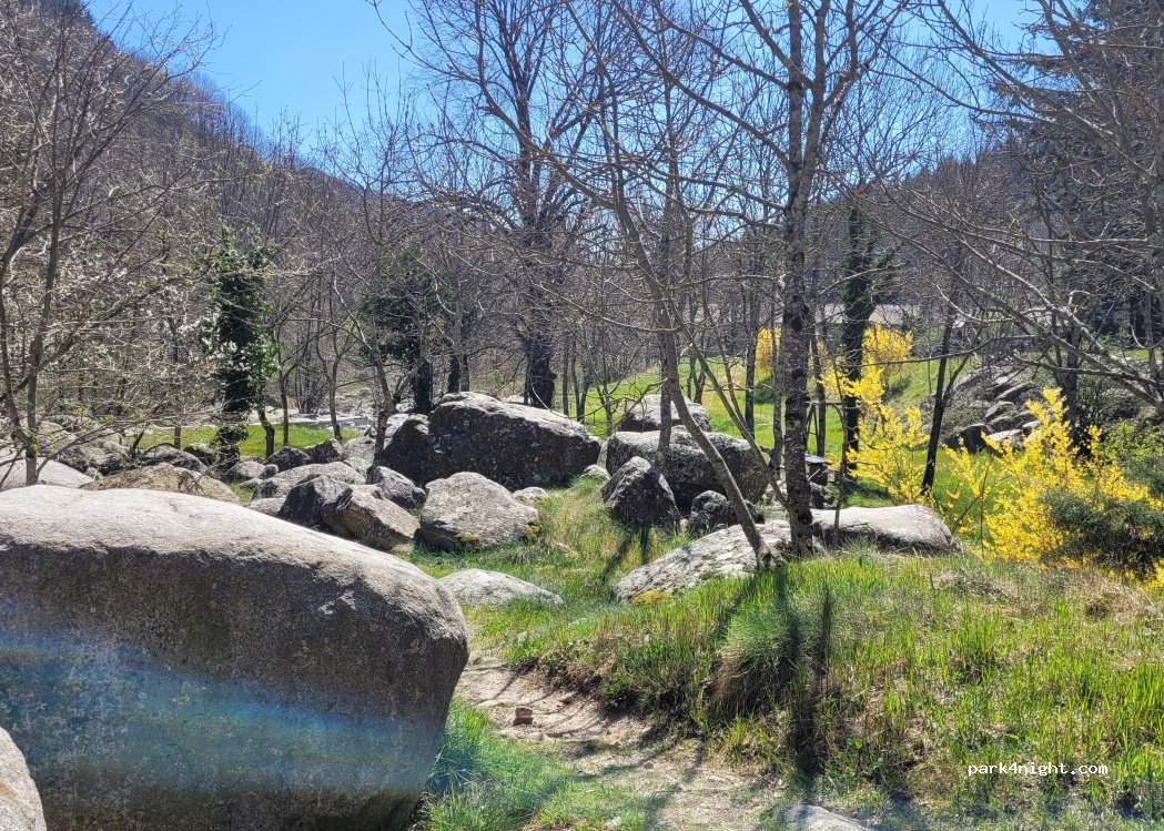 (07530) Laviolle - Route de Mezilhac — foto 5