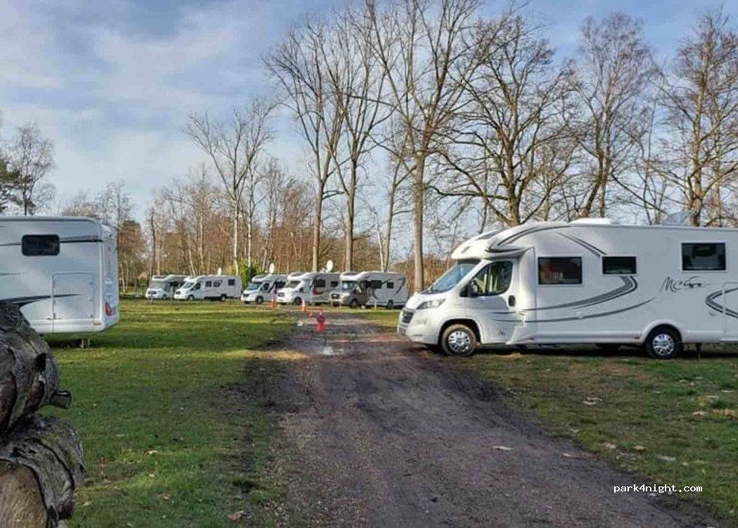 (2260) Westerlo - 28 Asberg — foto 2