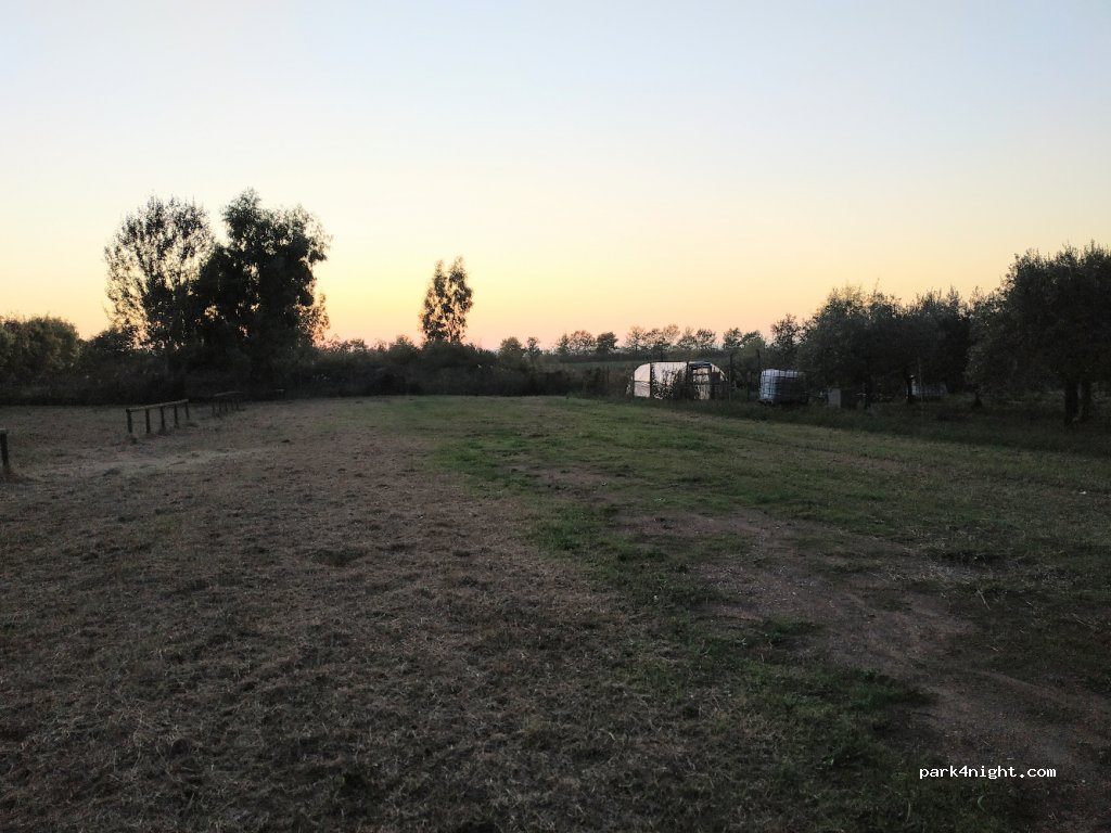 (55054) Massarosa - 3557 Via Pietra a Padule — foto 2