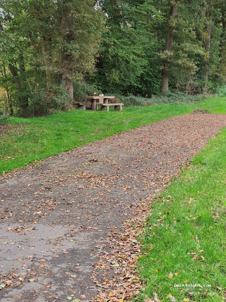 (48369) Saerbeck - Rauher Weg — foto