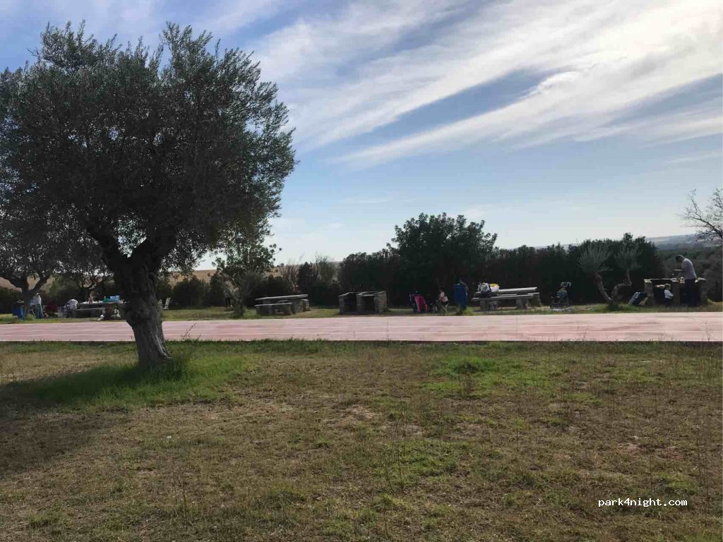 (14720) Almodóvar del Río - A-431 — foto 4
