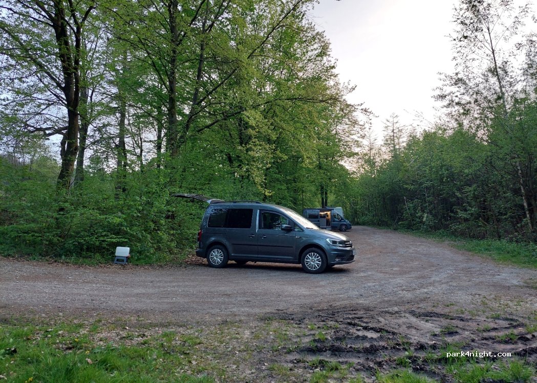 (32805) Horn-Bad Meinberg - Zur Kattenmühle — foto 4