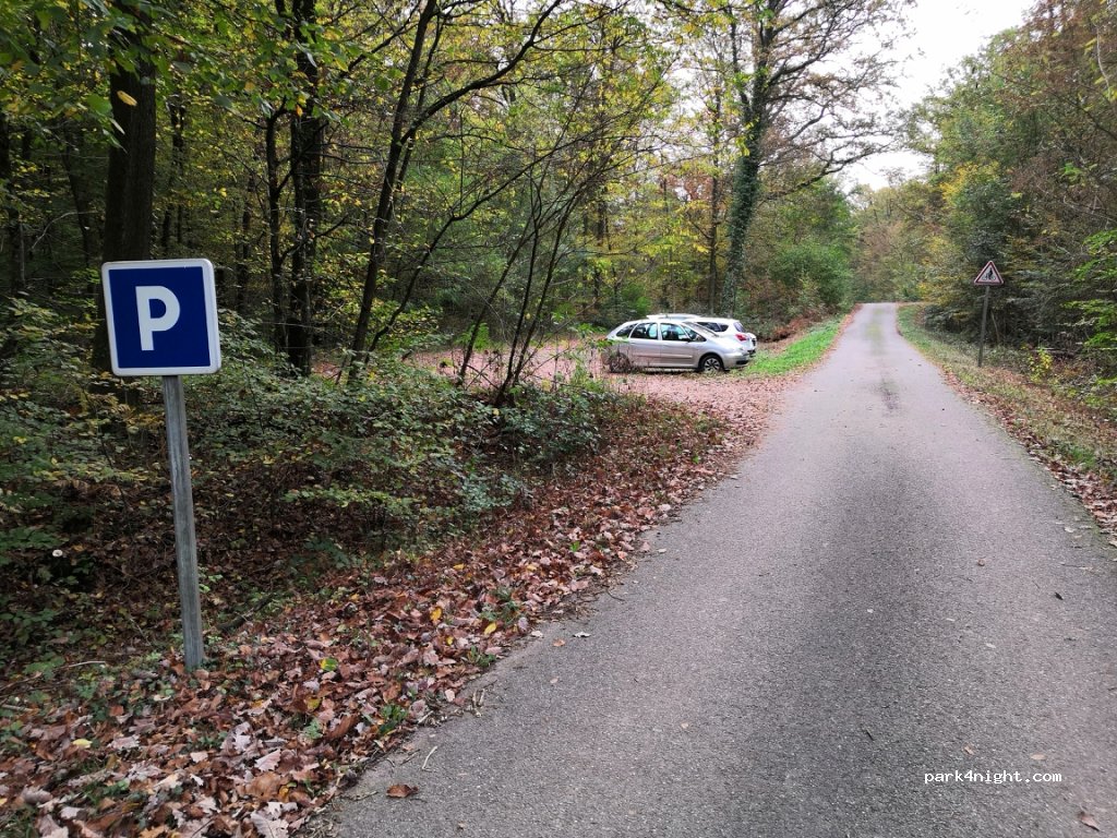 (67500) Haguenau - Route Forestière de Grundel — foto