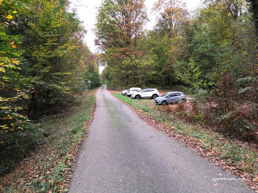 (67500) Haguenau - Route Forestière de Grundel — foto 2