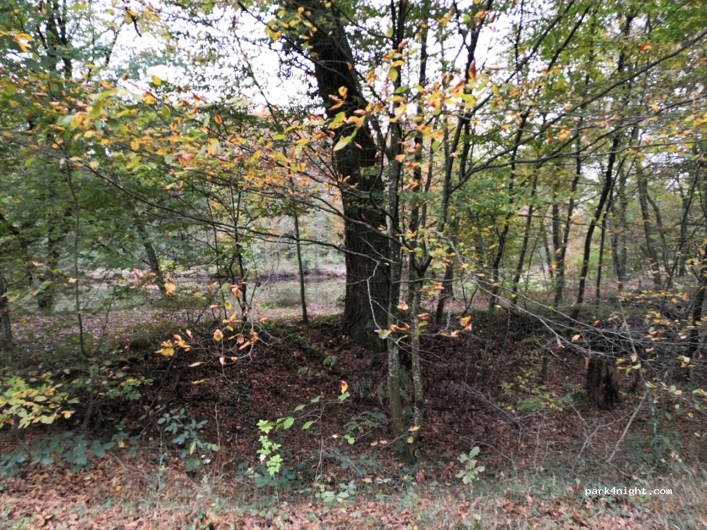 (67500) Haguenau - Route Forestière de Grundel — foto 3