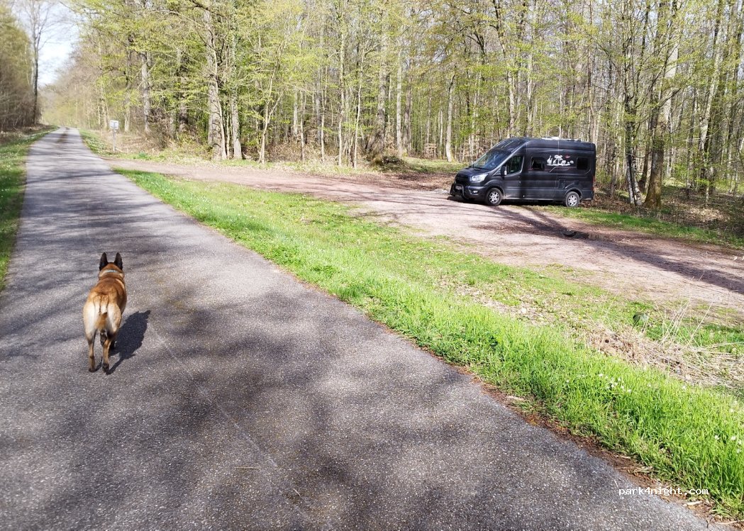 (67500) Haguenau - Route Forestière de Grundel — foto 4