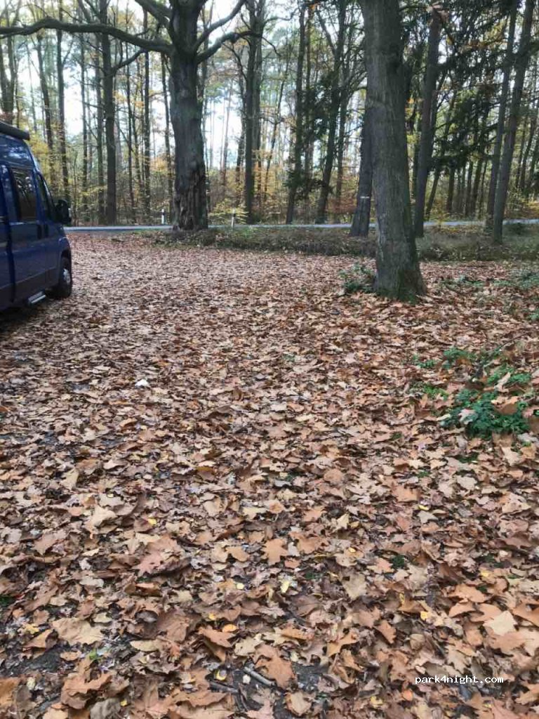 (269 01) Nový Dům - — foto