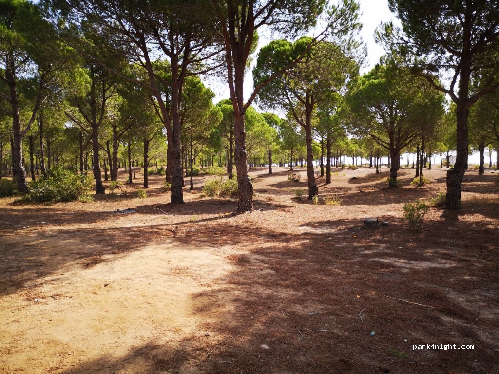 (07600) Yeni Yol - Unnamed Road — foto