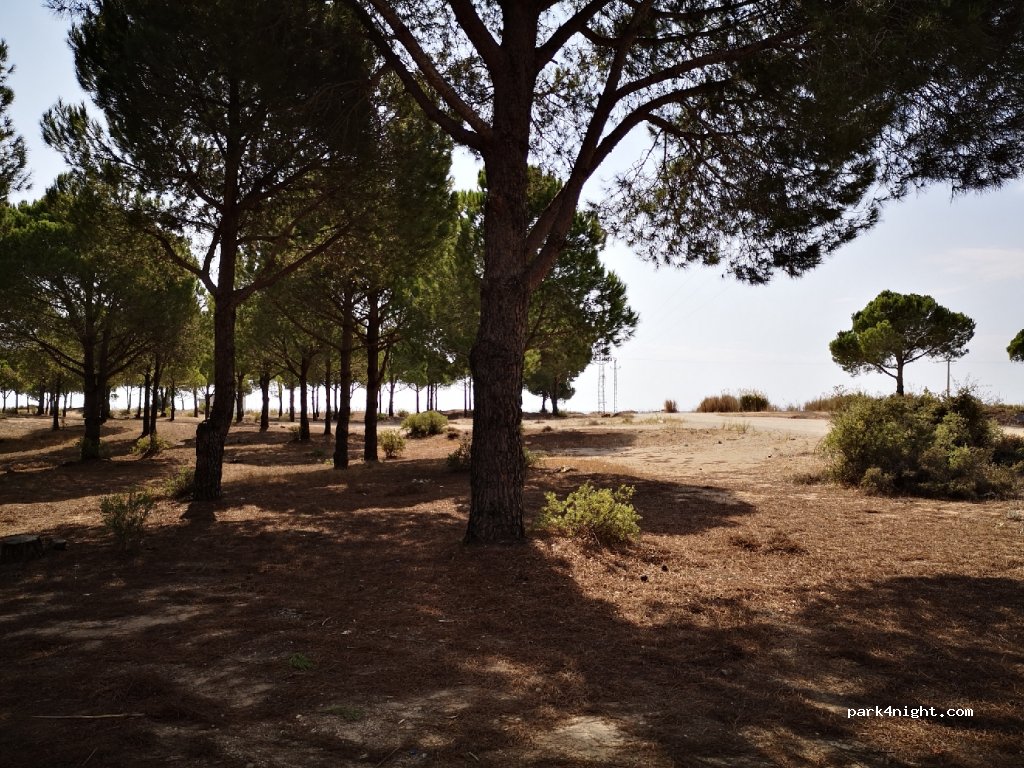 (07600) Yeni Yol - Unnamed Road — foto 2