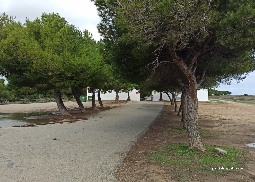 (03184) Torrevieja - Unnamed Road — foto 3