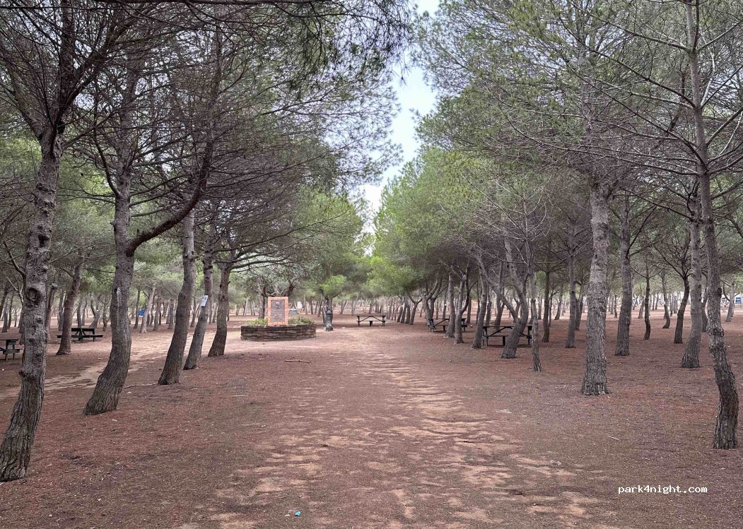 (03184) Torrevieja - Unnamed Road — foto 5