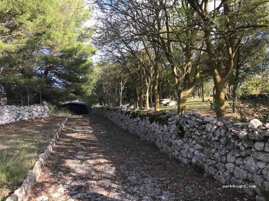 (07040) Borutta - Strada Provinciale — foto 2