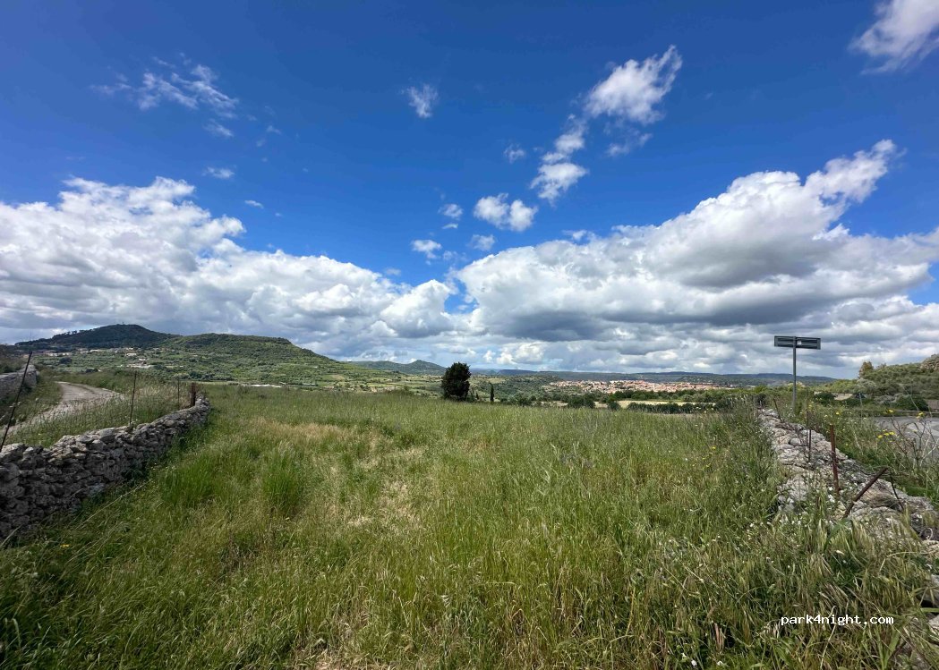 (07040) Borutta - Strada Provinciale — foto 3