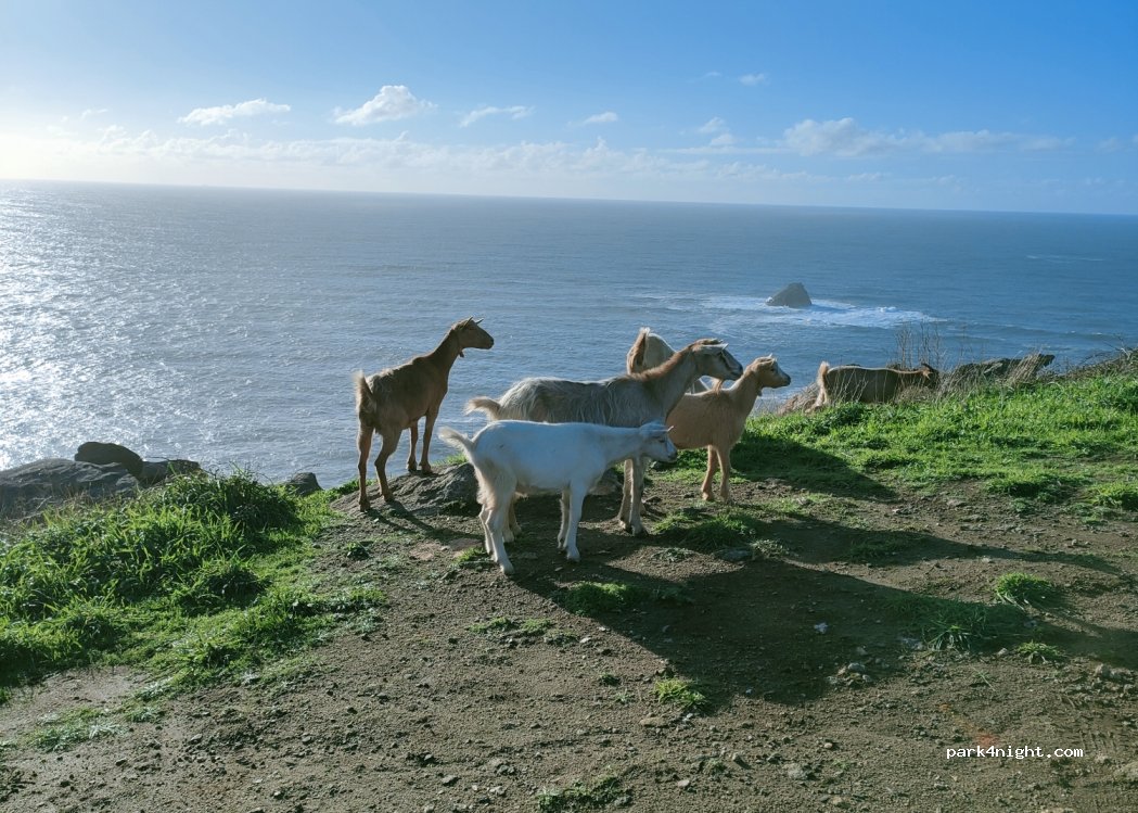 (15155) Fisterra - Cabo Fisterra Road — foto 5