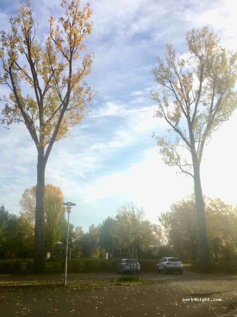 (91315) Höchstadt - 2 In der Brannerstatt — foto