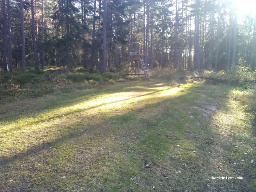 (542 91) Torsö - Unnamed Road — foto