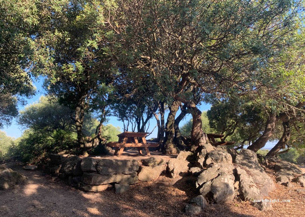 (07020) Luogosanto - Strada per San Trano — foto 3