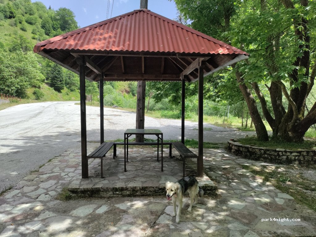 (420 37)  - Ethniki Odos Artas Trikalon — foto 3