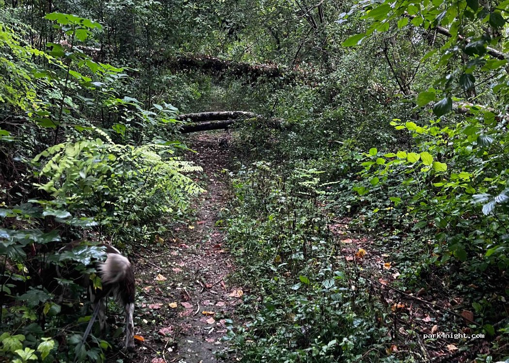 (21310) Arceau - Unnamed Road — foto 3